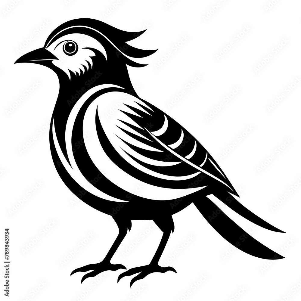 illustration of a bird Vector Illustration illustration of a bird Vector Illustration