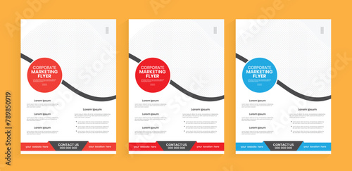 Marketing a4 flier design template. Vector flyer design handout layout. Corporate leaflet planning design. Cover page editable poster, report template.