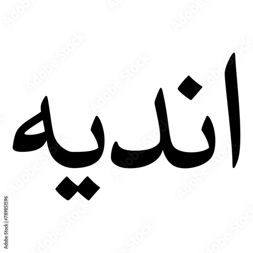 Andia Muslim Girls Name Naskh Font Arabic Calligraphy photo