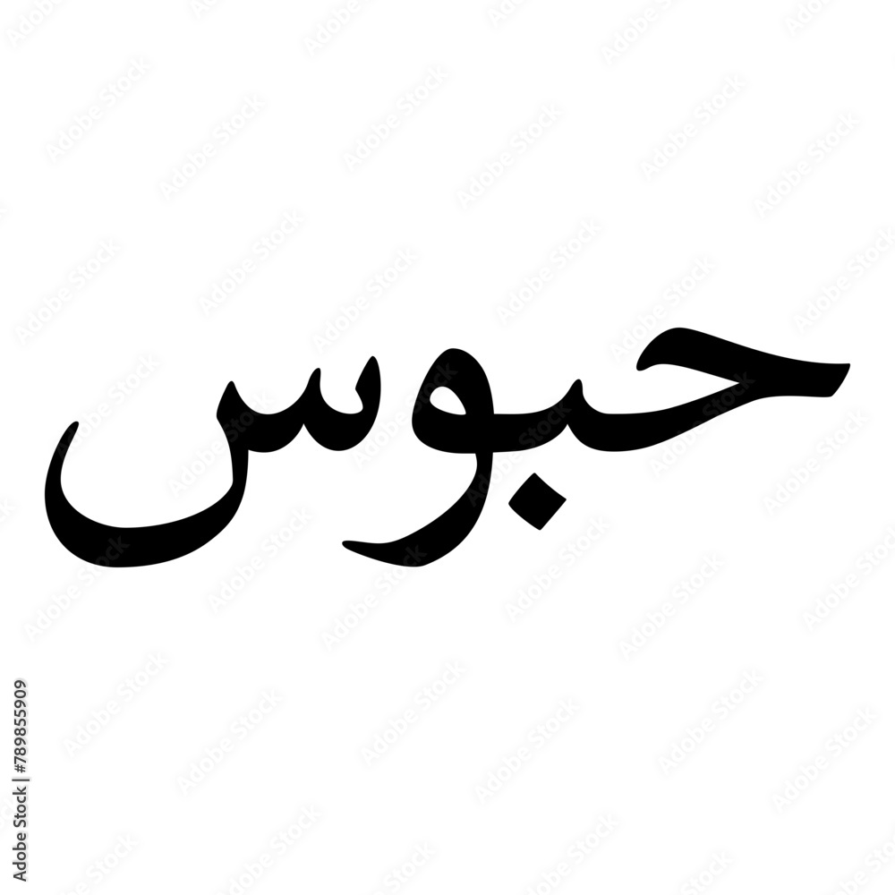 Haboos Muslim Girls Name Naskh Font Arabic Calligraphy Haboos Muslim Girls Name Naskh Font Arabic Calligraphy