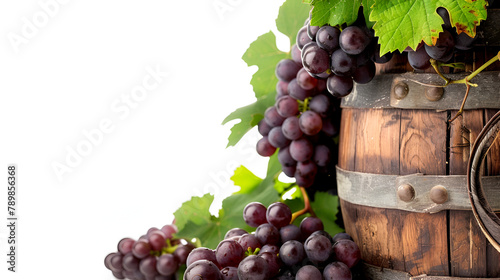 fruit, grape, food, grapes, red, bunch, isolated, green, fresh, wine, healthy, white, ripe, vine, sweet, berry, juicy, glass, diet, agriculture, nature, vegetarian, cluster, drink, Generative Ai