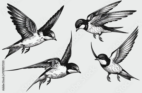 four birds flying in the air with their wings spread