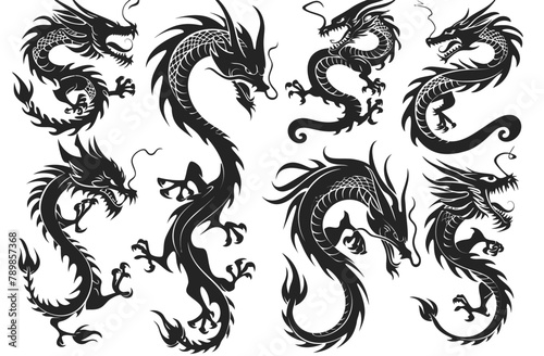 a set of black and white dragon tattoos