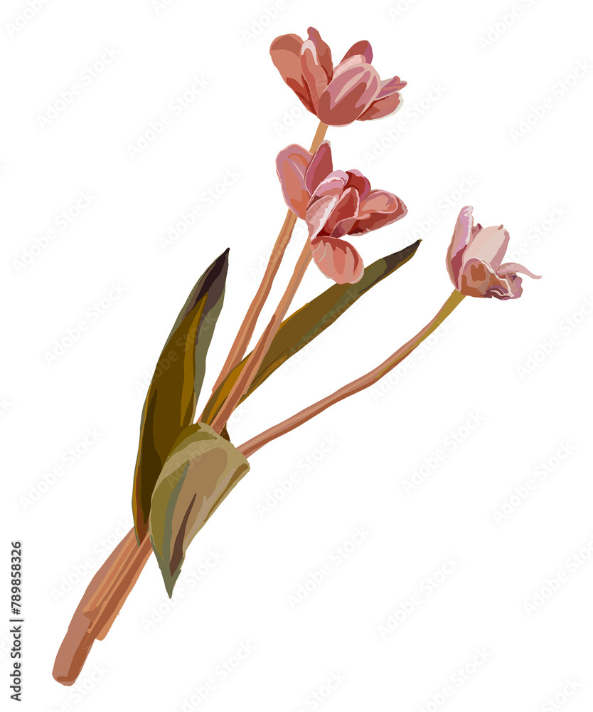 Tulip flower png sticker, aesthetic feminine illustration