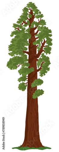 Giant Sequoia Tree