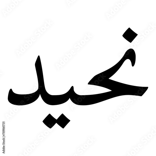 Naheed Muslim Girls Name Naskh Font Arabic Calligraphy