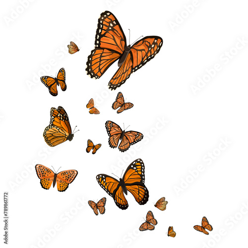 Canvas Print Monarch butterfly png border, watercolor collage element