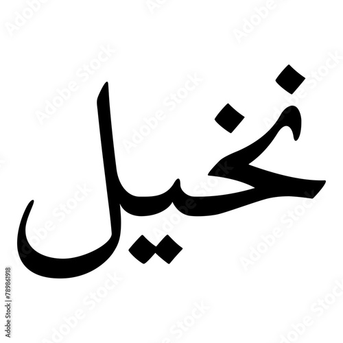 Nakheel Muslim Girls Name Naskh Font Arabic Calligraphy photo