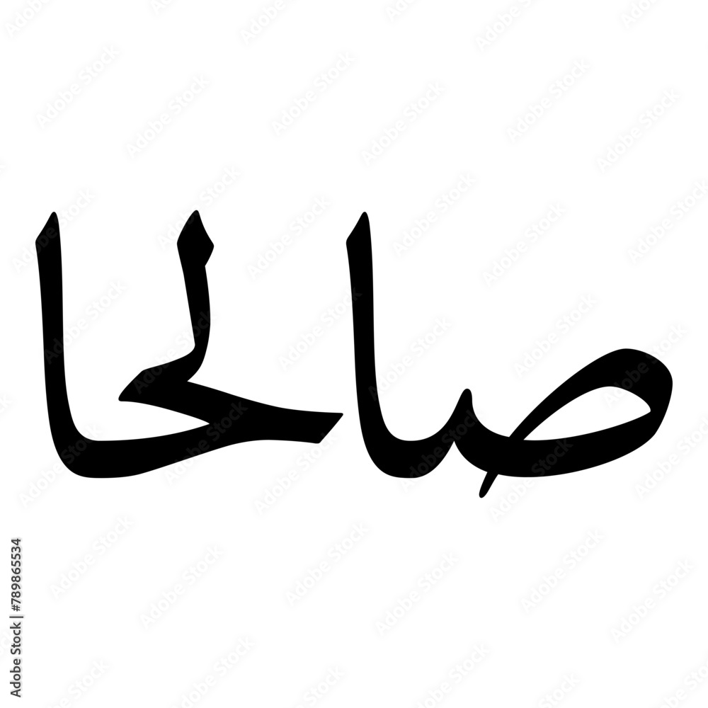 Salha Muslim Girls Name Naskh Font Arabic Calligraphy Salha Muslim Girls Name Naskh Font Arabic Calligraphy