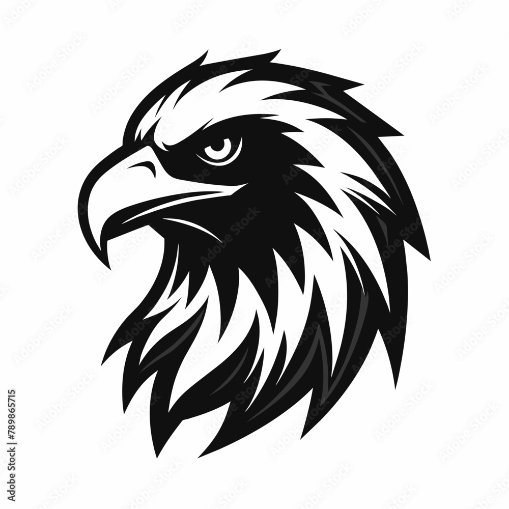 Head of eagle Vector Illustration Head of eagle Vector Illustration