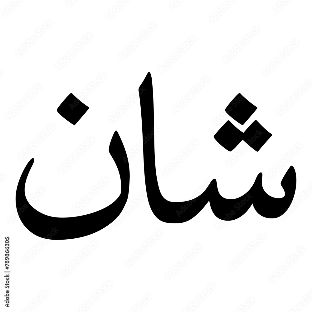 Shaan Muslim Girls Name Naskh Font Arabic Calligraphy Shaan Muslim Girls Name Naskh Font Arabic Calligraphy