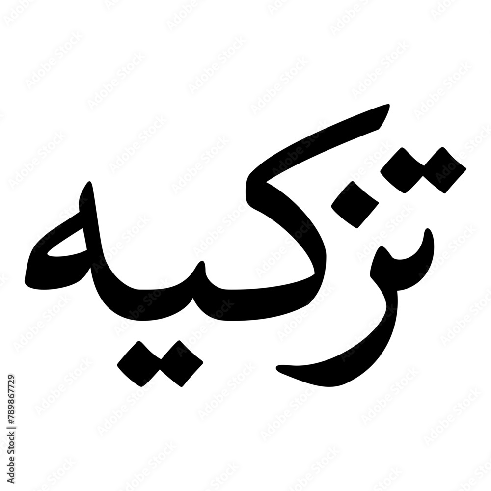 Tazkia Muslim Girls Name Naskh Font Arabic Calligraphy Tazkia Muslim Girls Name Naskh Font Arabic Calligraphy