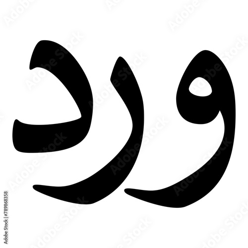 Ward Muslim Girls Name Naskh Font Arabic Calligraphy photo