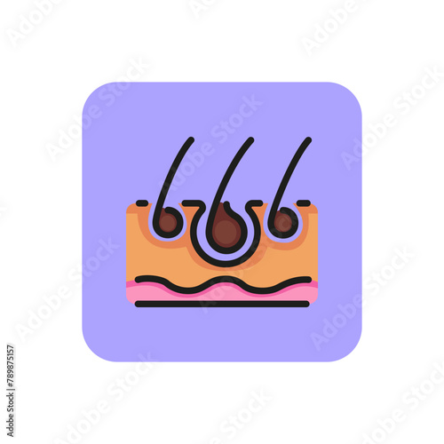 Icon of hair follicle. Transplantation, derma, haircare. Hair loss concept. Can be used for topics like epilation, skincare, dermatology
