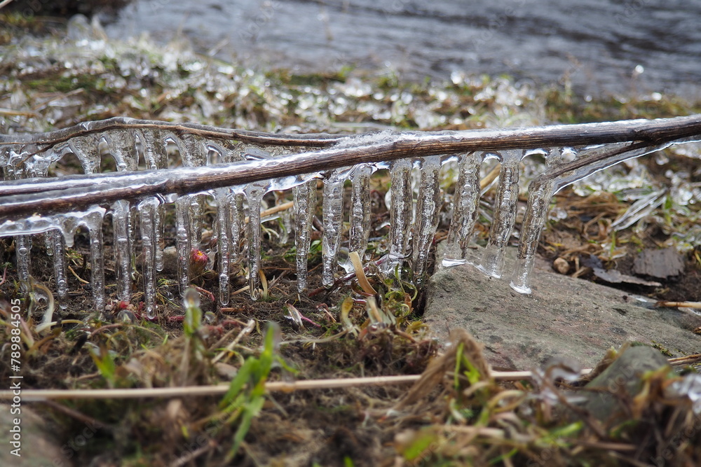 Ice is water in a solid state of aggregation. Ice icicles and stalactites on tree branches near the water. Spring flood. water forms crystals of one crystalline modification - the hexagonal system