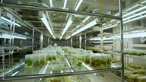 Tissue culture Using new technology Protect the environment.