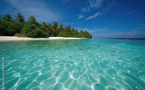 A Dreamy Paradise in Maldives: Clear Blue Waters and Palm Trees