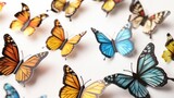 Butterflies. Cute butterflies vector set.
