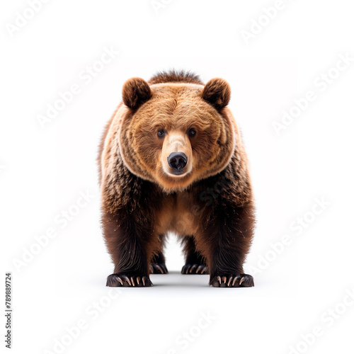Brown Bear Standing on Hind Legs. Generative AI © jul_photolover