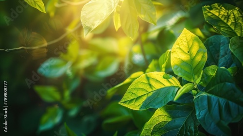 bright green leaves illuminated by sunlight, 