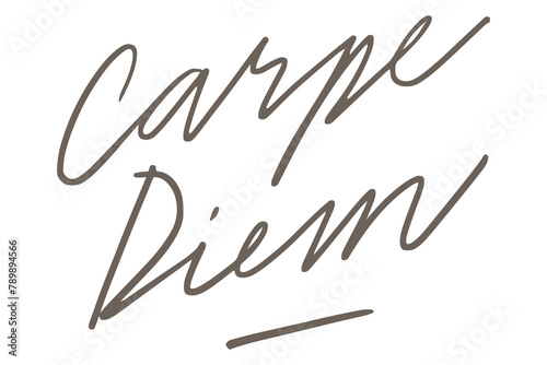 Carpe diem handwriting transparent png photo