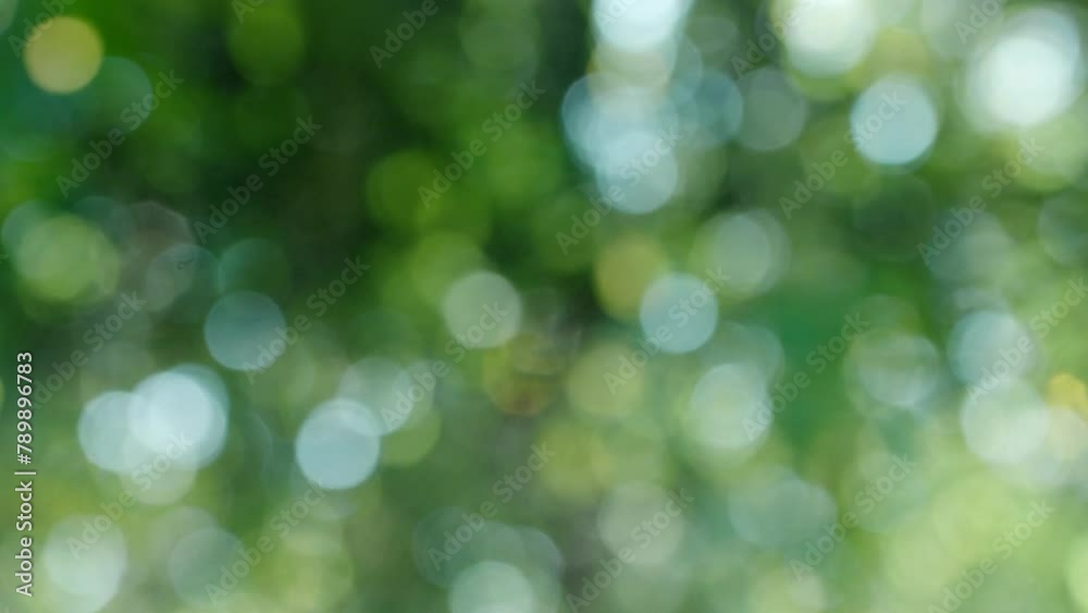 森の木漏れ日と日差し緑の背景 クリスタルのきれいなキラキラ光り輝く大小の明るいボケの回転の背景 自然・レンズボケ・効果・太陽・宝石・ウエディング・パーティーのイメージ 森の木漏れ日と日差し緑の背景 クリスタルのきれいなキラキラ光り輝く大小の明るいボケの回転の背景 自然・レンズボケ・効果・太陽・宝石・ウエディング・パーティーのイメージ
