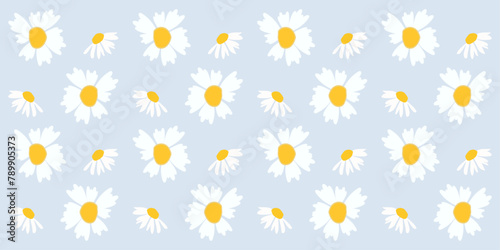 A Set of beautiful daisy flowers on blue background vector illustration. Cute summer wallpaper vector illustrator