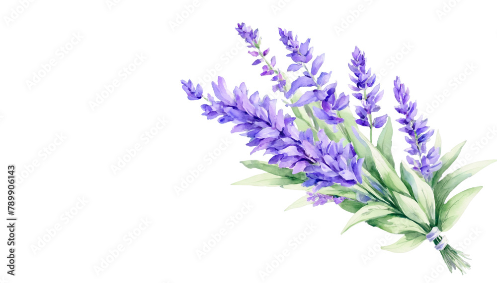 Fototapeta premium bunch of lavender
