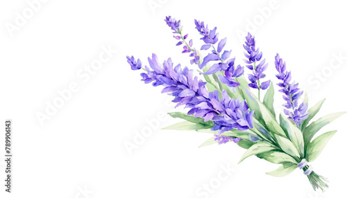 bunch of lavender