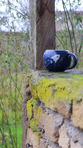 A hot cup in nature