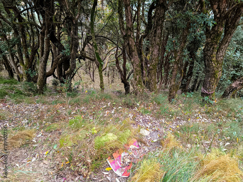 Gwaldum, Chamoli, Uttarakhand photo