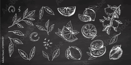 Hand-drawn vector lemon set. Whole lemon, sliced pieces, half, leaf and branch sketch. Tropical fruit engraved style illustration. Detailed citrus ink drawing on chalkboard background.