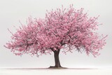 A large pink tree stands alone in a field of white snow