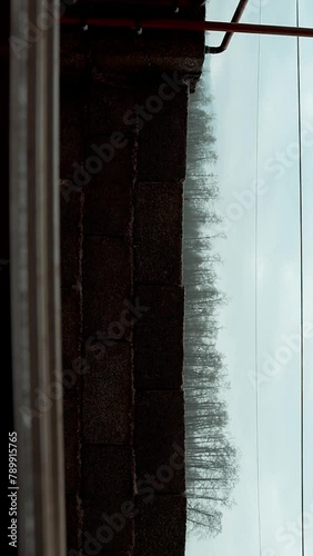 A beautiful and dreamy scene of the ball and the rain