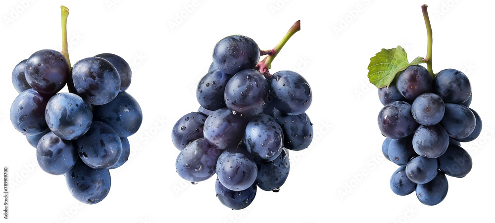black grape dark blue grape isolated on white background. With clipping path. Full depth of field black grape dark blue grape isolated on white background. With clipping path. Full depth of field