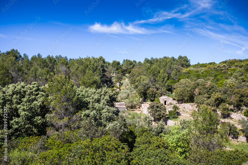 La combe des bourguignons à Marguerittes