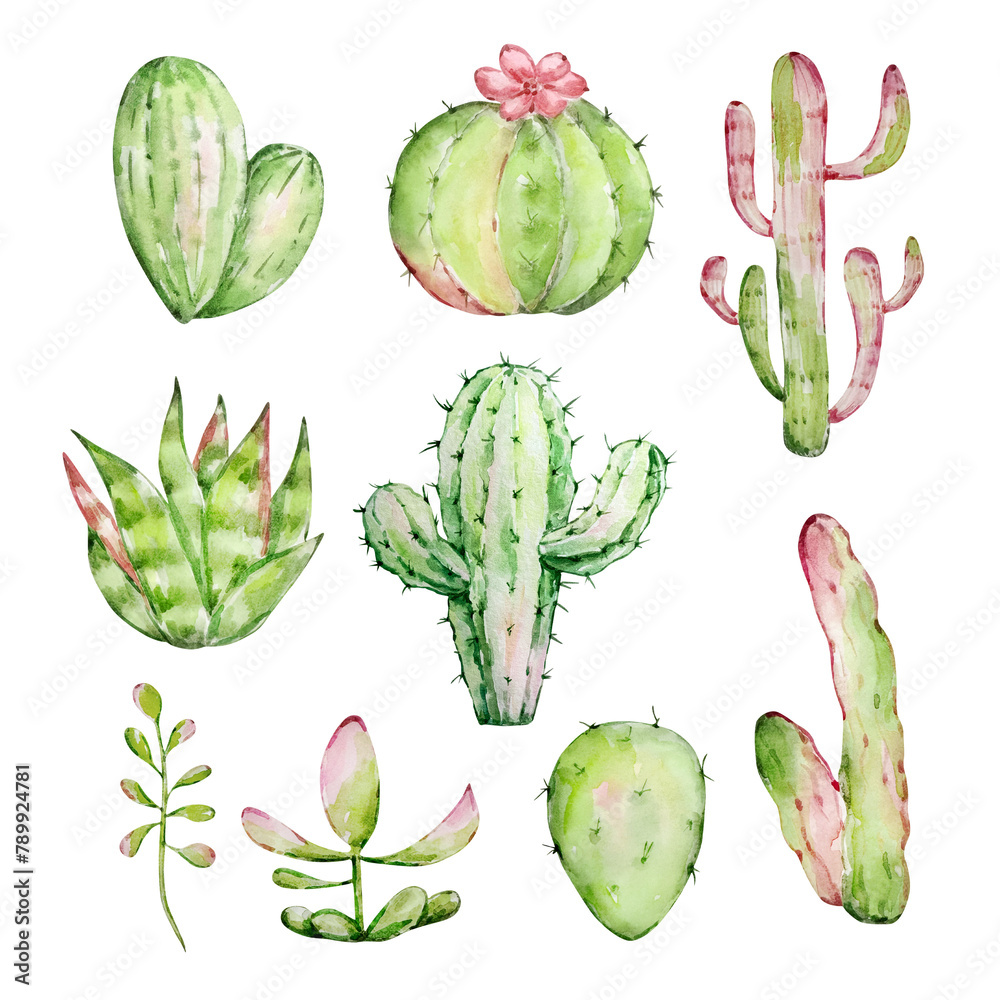 Watercolor cactus set, desert mexican plants Watercolor cactus set, desert mexican plants