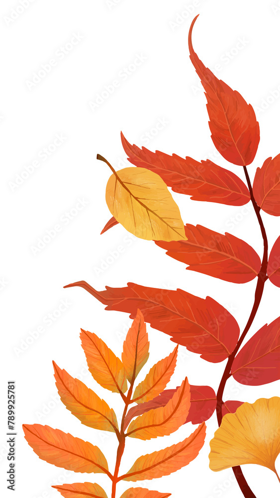 Naklejka premium Fall leaves png background transparent