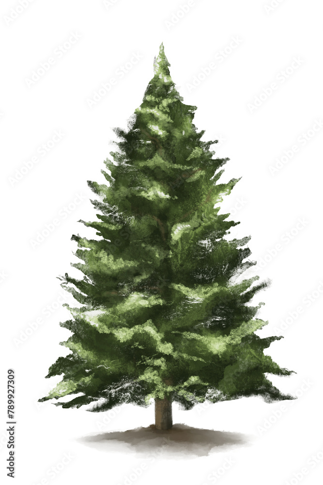 Obraz premium Png tree design element West Himalayan Fir