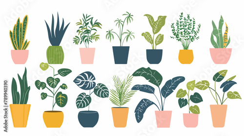 Set of house plants in pots. Vector flat style illustration