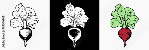 Beetroot vegetable vector silhouette, vegan illustration.