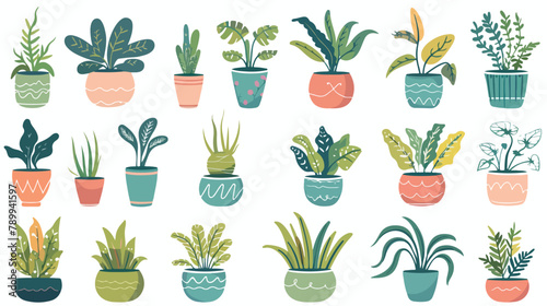 Set of office plants in pots. Vector flat style illustration