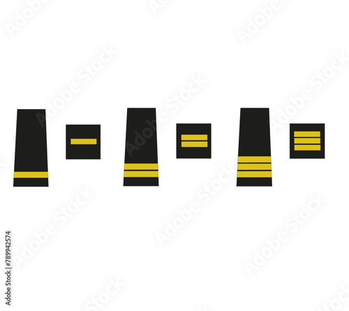 Ensemble des galons de l'armée de terre française, douane française, brigade aéro-maritime: controleur des douanes, 1ère classe , 2ème classe, principal