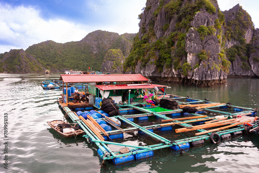 Obraz premium Floating fishing village in sea bay in Vietnam, boats and islands