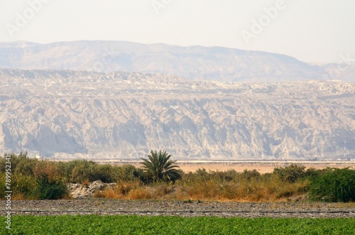 Agricultura en el Mar Muerto junto a la frontera con Palestina, Jordania