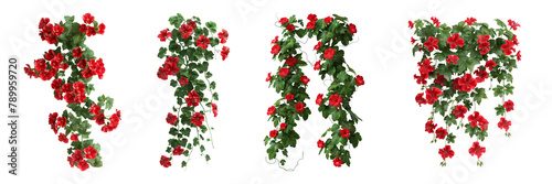 Pack of Hibiscus Flowers Hanging on Transparent background - Ai Generated