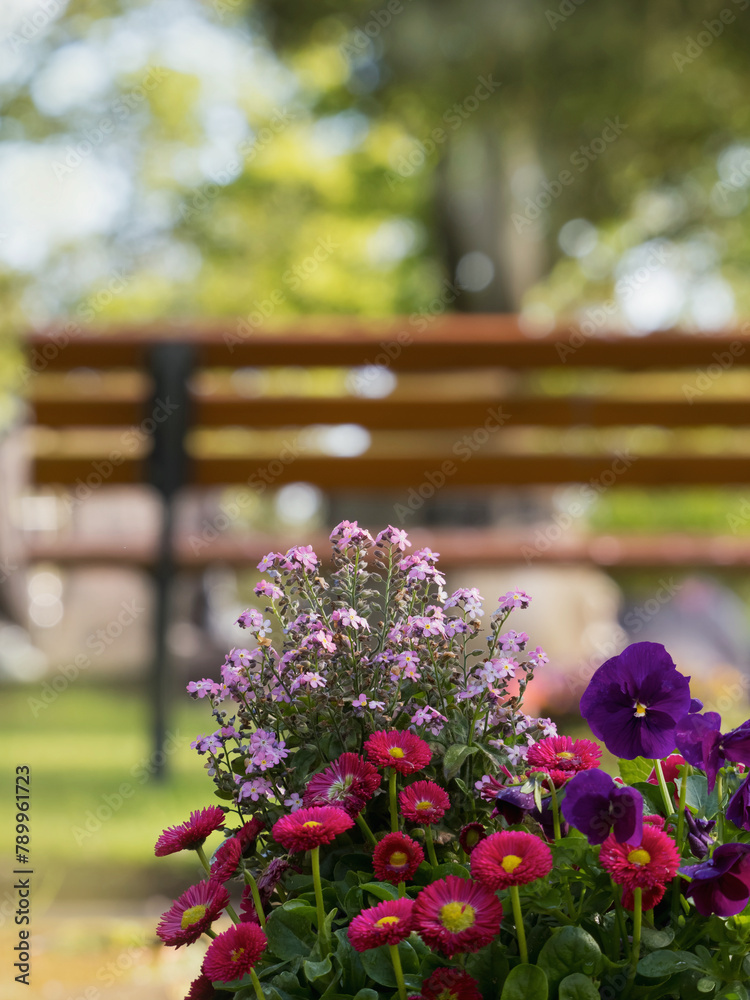 Obraz premium Natur, Natürlich, Ruhe im Park Bank Blumen