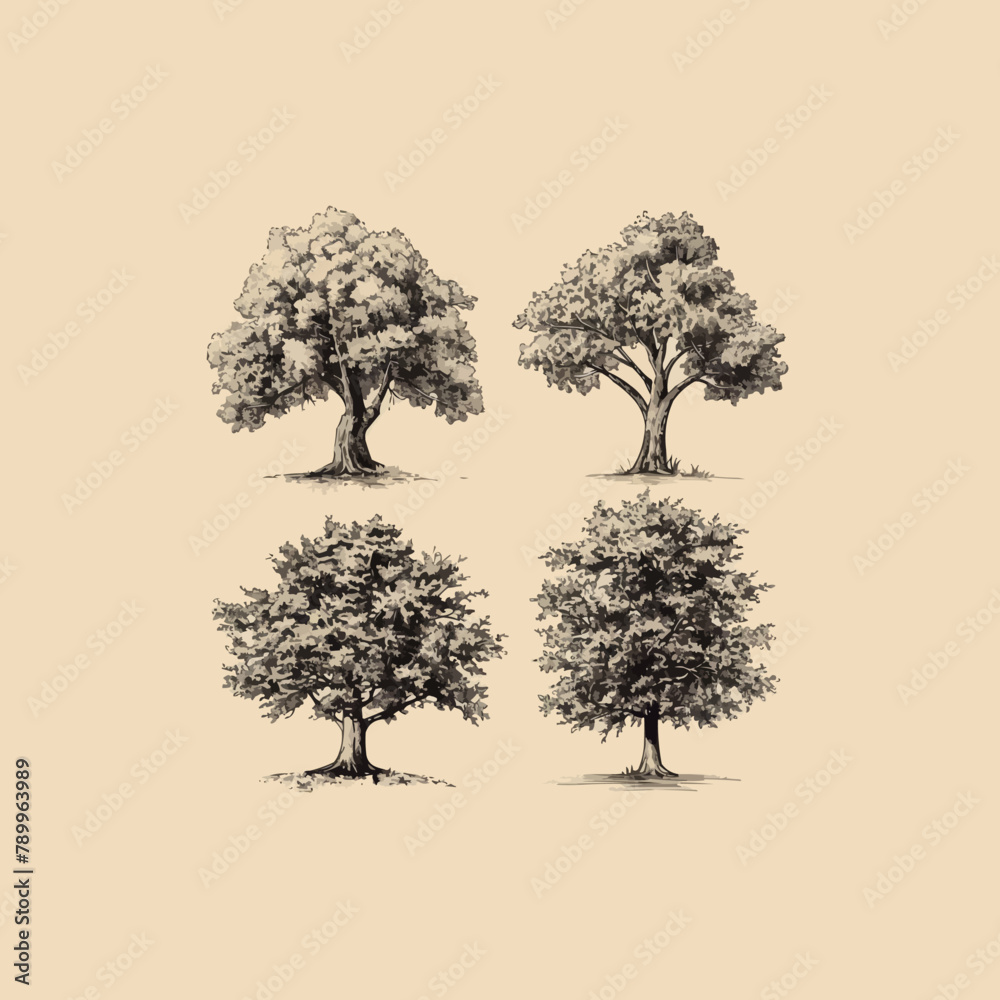 Fototapeta premium Hand drawn sketch tree species illustration set. Vector isolated vintage background