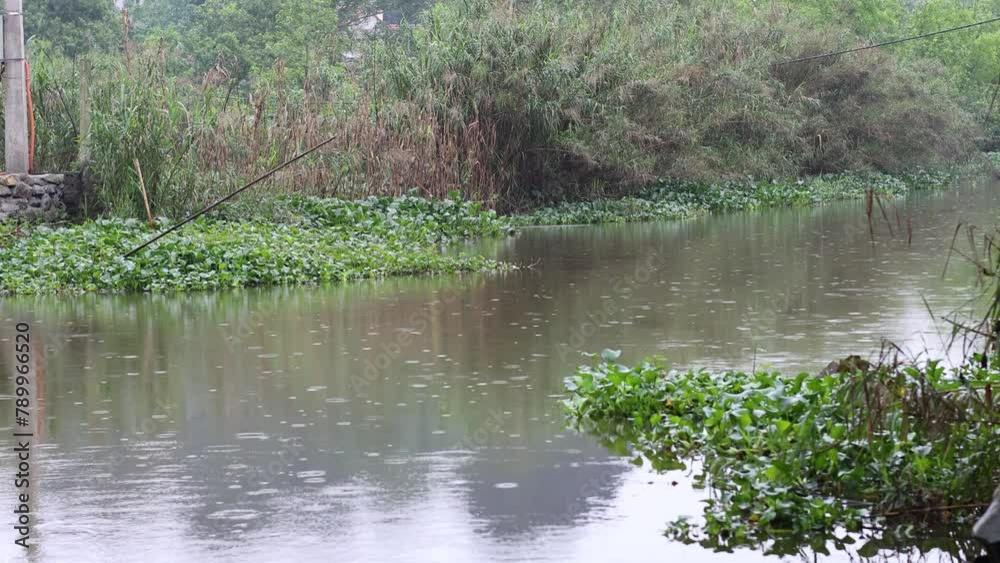 Tranquil River Scene with Raindrops Tranquil River Scene with Raindrops
