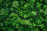 Drone captures eco-friendly transport on forest highway, with hydrogen truck and electric car in motion.. Beautiful simple AI generated image in 4K, unique.